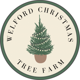 Welford Christmas Tree Farm for all your Halloween Pumpkins, Real Christmas trees, well stocked farm shop and Café.