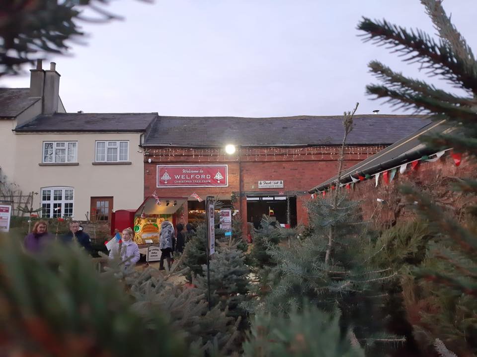 Welford Christmas Tree Farm